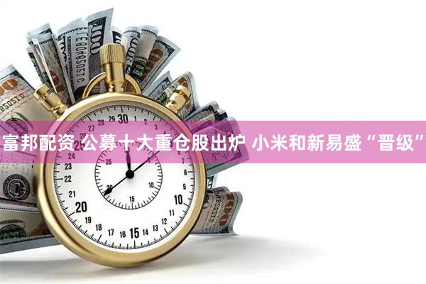 富邦配资 公募十大重仓股出炉 小米和新易盛“晋级”